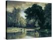 Stretched Canvas Print