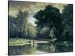 Stretched Canvas Print