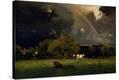 Stretched Canvas Print