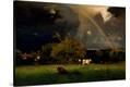 Stretched Canvas Print