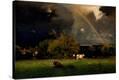 Stretched Canvas Print