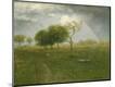 Premium Giclee Print