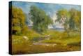 Stretched Canvas Print