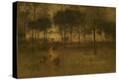 Stretched Canvas Print