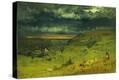Stretched Canvas Print