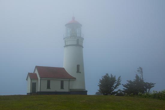 Photo, , large