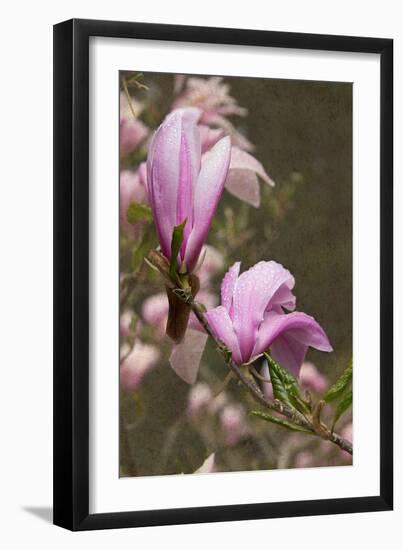 Photo, , large