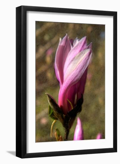Photo, , large