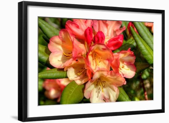 Photo, , large