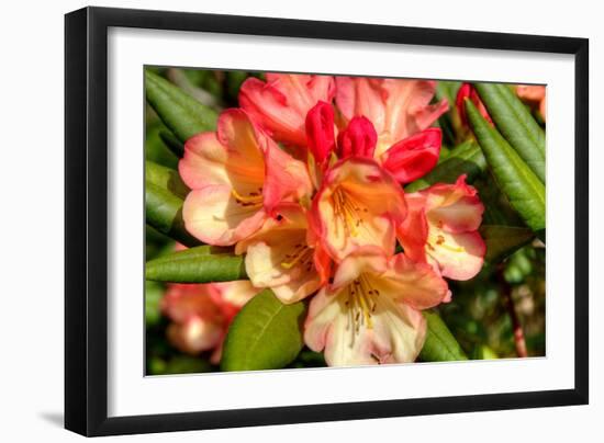 Photo, , large