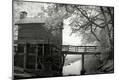 Photographic Print