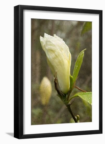 Photo, , large