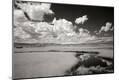 Photographic Print