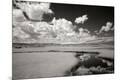 Photographic Print