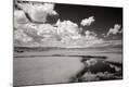 Photographic Print