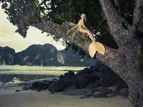 Beautiful Fashionable Mermaid Sitting On A Mighty Tree On The Beach-George Mayer-Art Print