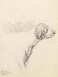 Study of a Hound, 1794 (Pencil on Paper)-George Morland-Giclee Print