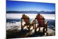 Photographic Print