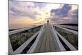 Photographic Print