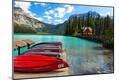 Photographic Print