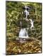 Premium Photographic Print