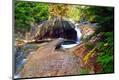 Photographic Print