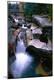 Premium Photographic Print