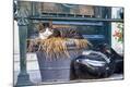 Photographic Print