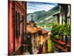 Photographic Print