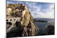 Photographic Print