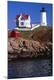 Premium Photographic Print