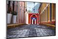 Photographic Print