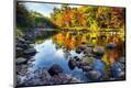 Photographic Print