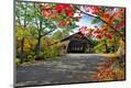Photographic Print