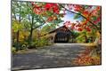 Photographic Print