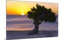 Premium Photographic Print