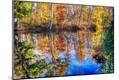 Photographic Print