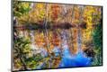 Photographic Print
