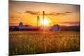 Photographic Print