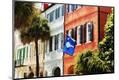 Photographic Print