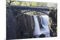 Premium Photographic Print