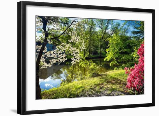 Photographic Print, , large