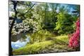 Photographic Print