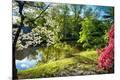 Premium Photographic Print
