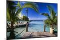 Photographic Print
