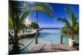 Photographic Print