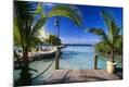 Photographic Print