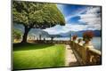 Premium Photographic Print