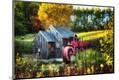 Premium Photographic Print