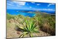 Premium Photographic Print